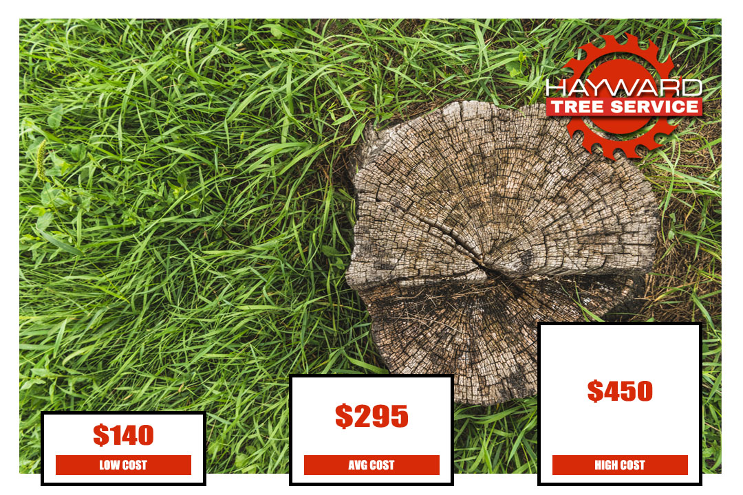 How Much Does Stump Grinding Cost? - Hayward Tree Service